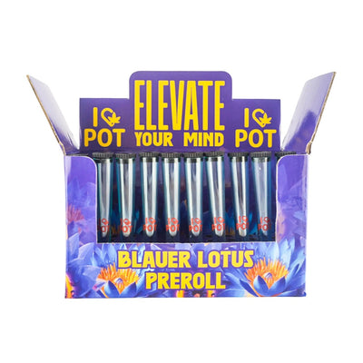 ILovePot Blauer Lotus Prerolls - 50er Display