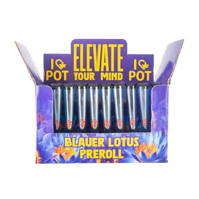 ILovePot Blauer Lotus Prerolls - 50er Display
