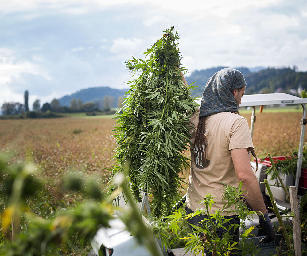 Erfahre Mehr Über Uns